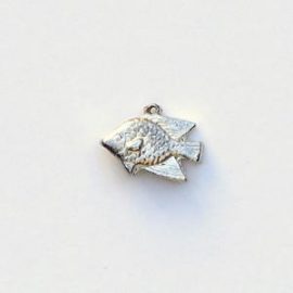 Fish Charm